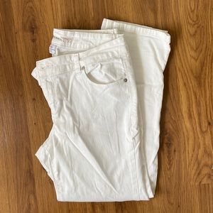 Style & co. Ex-boyfriend curvy ankle pants